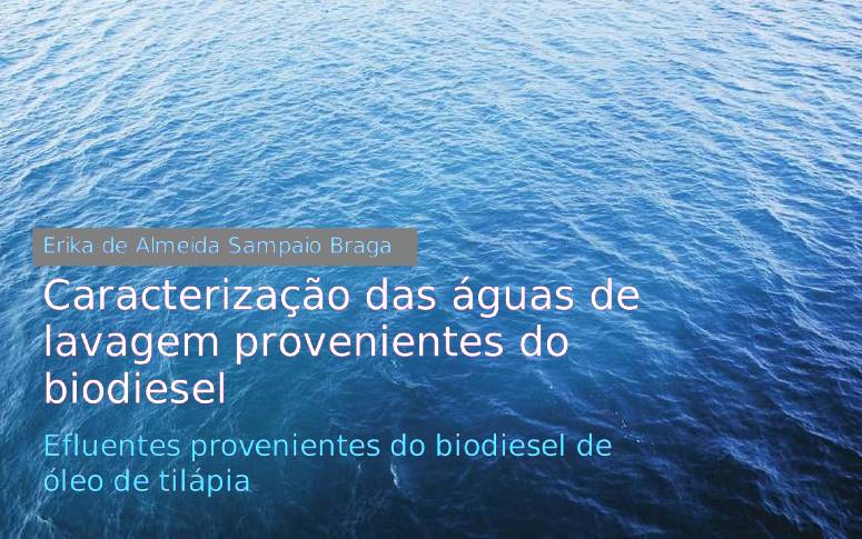 Pesquisadora do Nutec publica livro sobre efluentes provenientes do Biodiesel